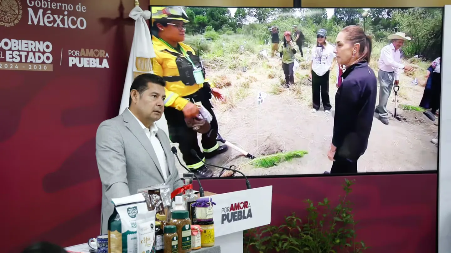 Puebla planea reforestar más de 2 millones de árboles para 2026
