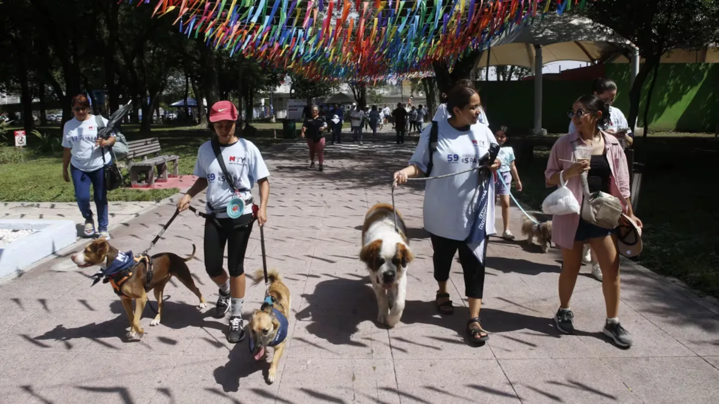 Clima caluroso y soleado en Nuevo León para el 19 de agosto