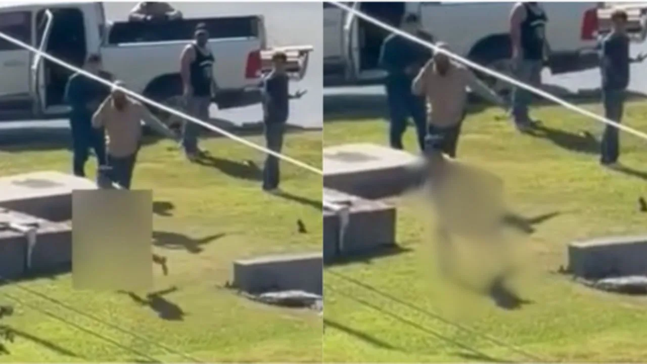 Conductor intoxicado causa fatal accidente en Chihuahua