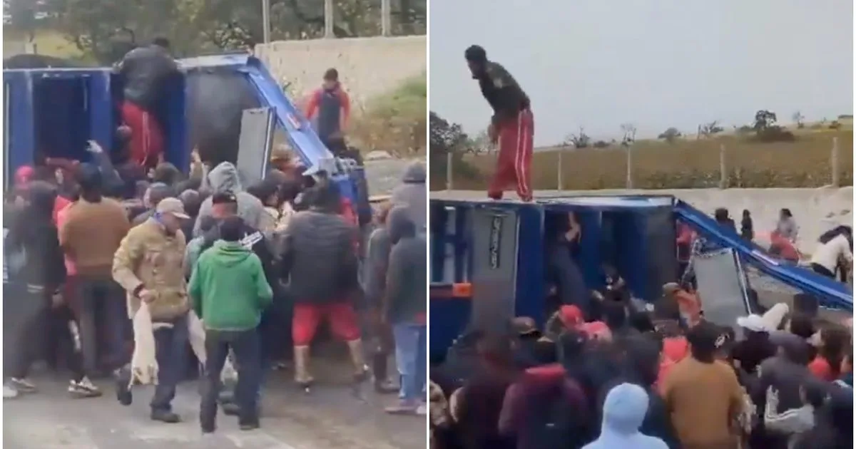 Accidente de trailer en Puebla provoca rapiña de cerdos por habitantes locales