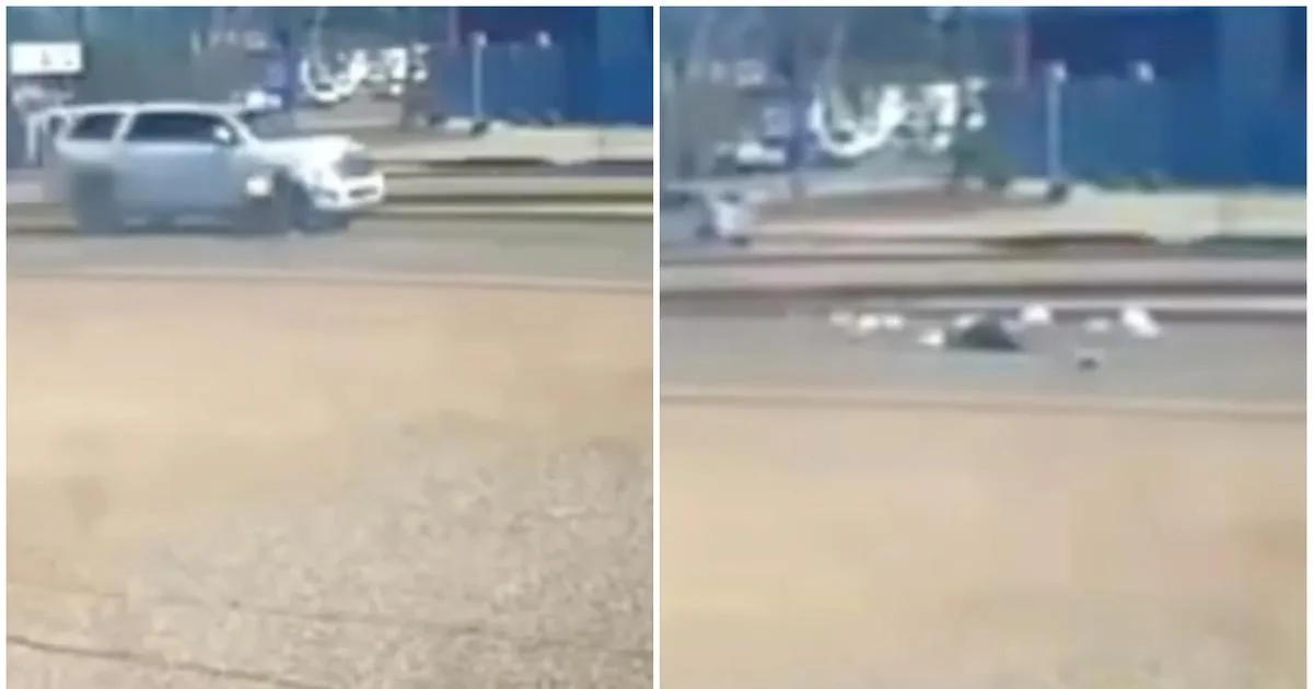 Atropello mortal en San Quintín involucra vehículo de la Presidencia Municipal